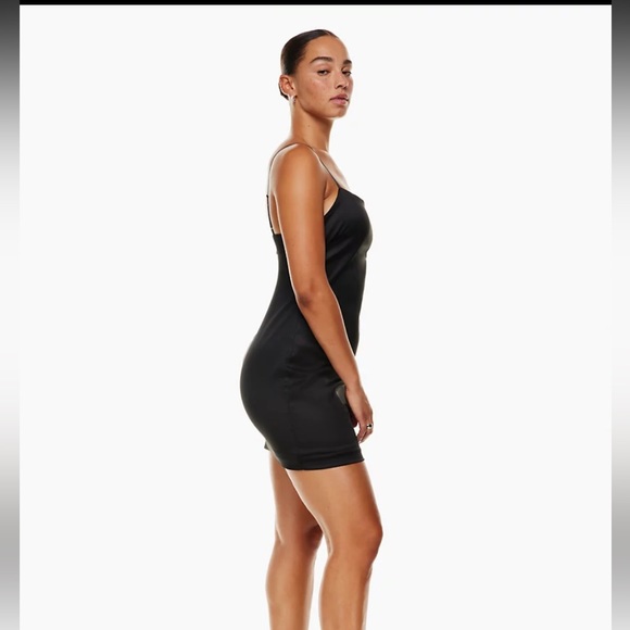 Aritzia Passion Dress - Ten By Babaton - Picture 4 of 7